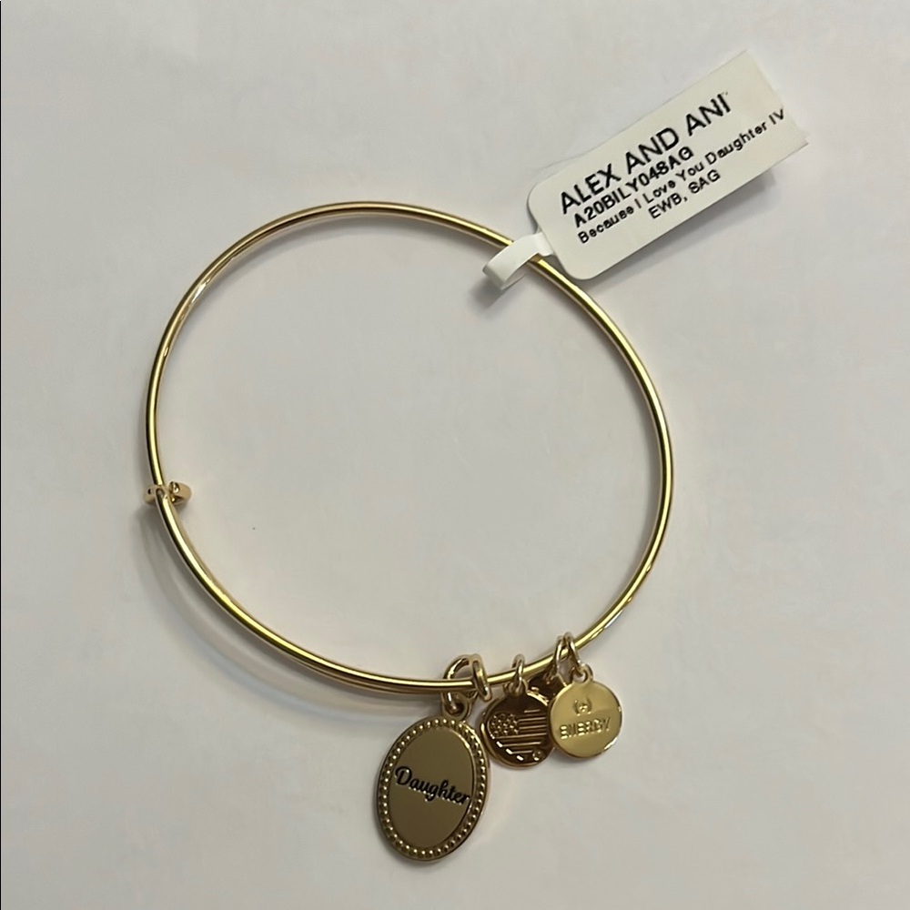 Alex and Ani Gold Bangle Bracelet
